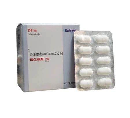 Triclabend 500 mg Fenbendazole veterinary dewormer tablets for animals
