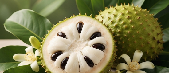 Soursop Benefits Sexually for Men and Women Explained